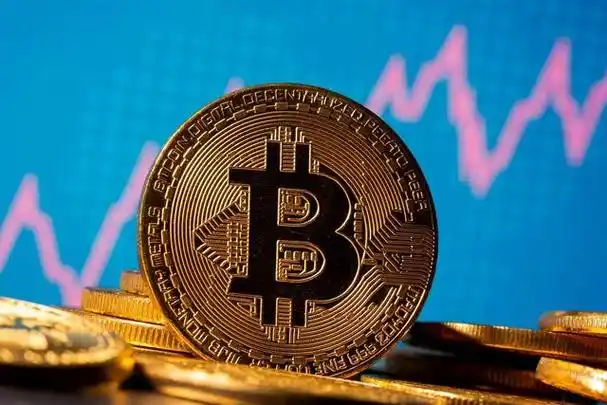 A well-organized mining farm in action