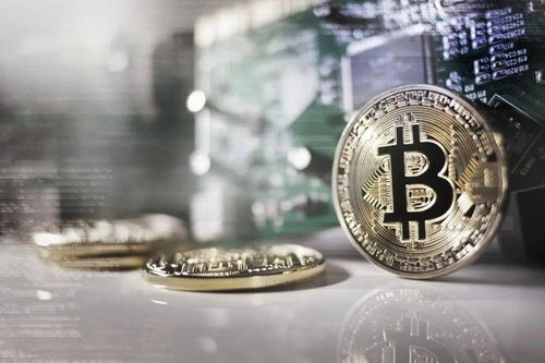 Bitcoin mining equipment in action