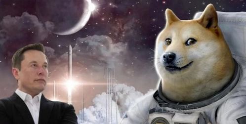 Dogecoin mining setup